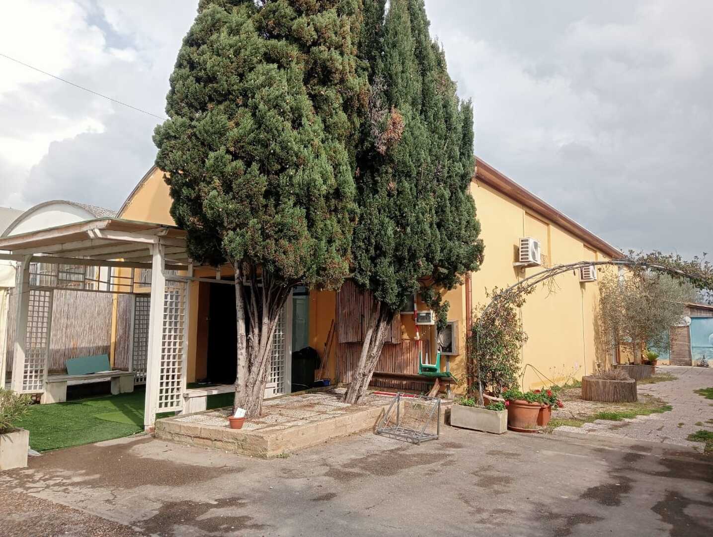 Photo of Moschea Donoratico